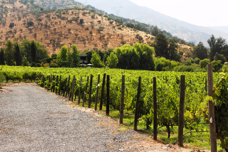 Santiago Private Tour - 