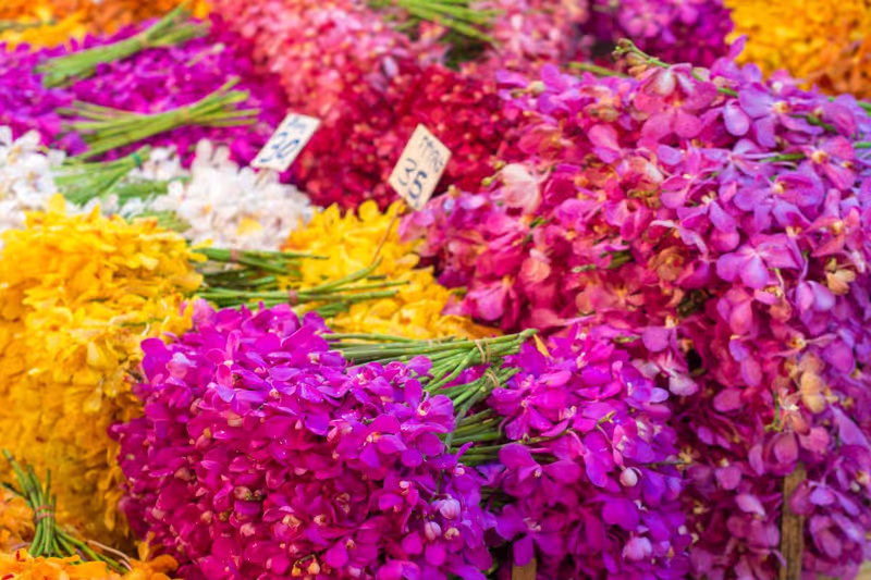 Bangkok Private Tour - 
