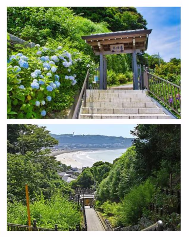 Kamakura Private Tour - 