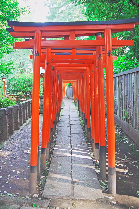 Tokyo Private Tour - Porte Torii