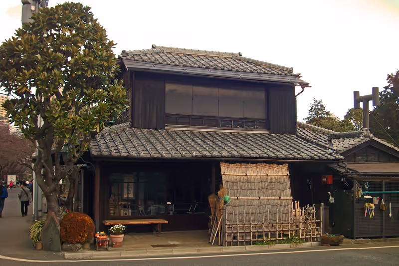 Tokyo Private Tour - Yanaka
