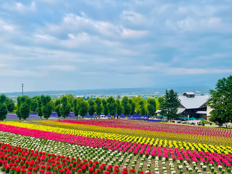 Hokkaido Private Tour - Farm Tomita Different Flowers