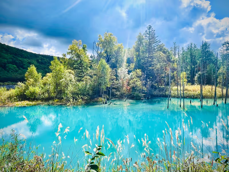 Hokkaido Private Tour - Shirogane Blue Pond