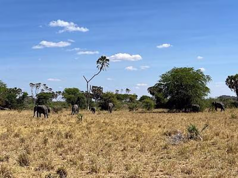 Nairobi Private Tour - 