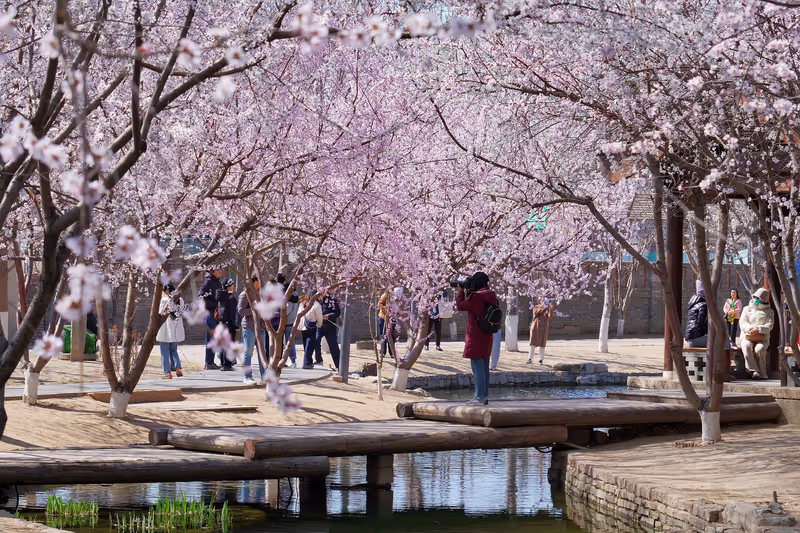 Beijing Private Tour - 