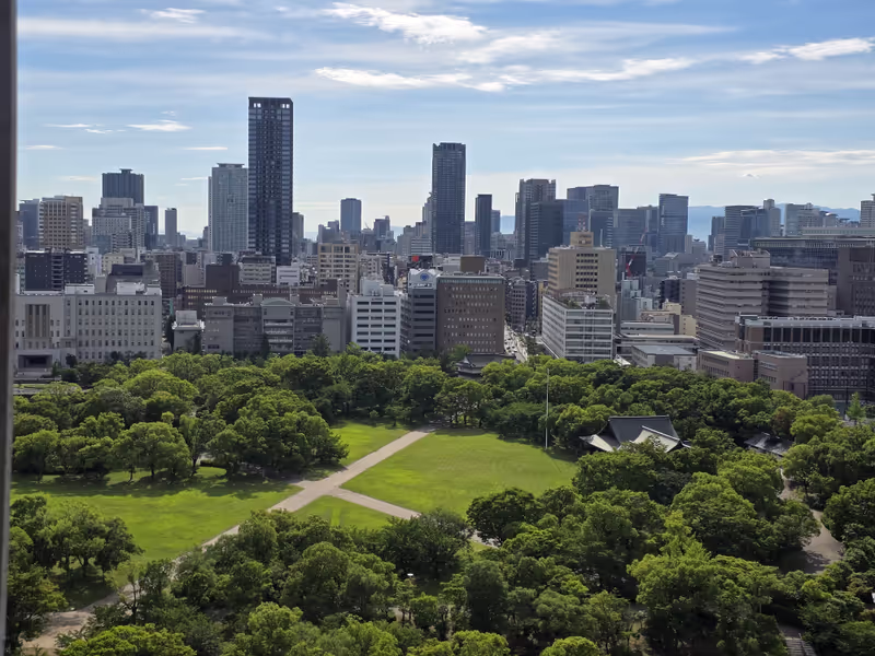 Osaka Private Tour - 