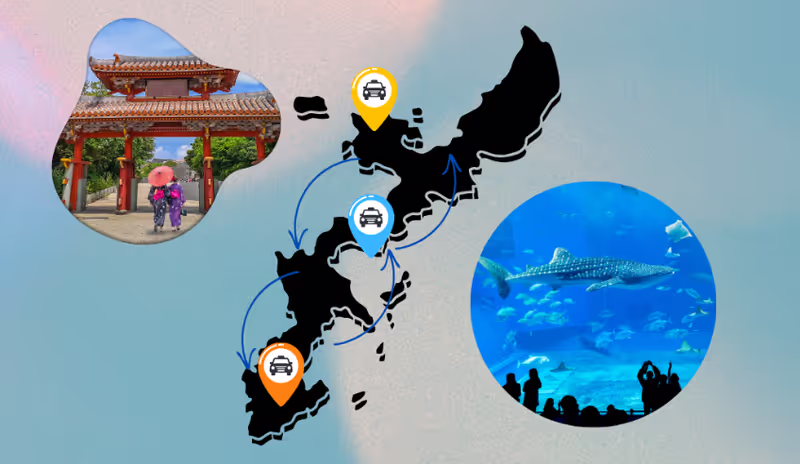 Okinawa Main Island Private Tour - Private Charter Taxi Tour