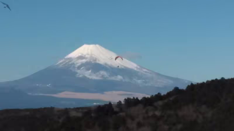 Other Shizuoka Locations Private Tour - Snowcapped Mt. Fuji in winter from a hilltop
