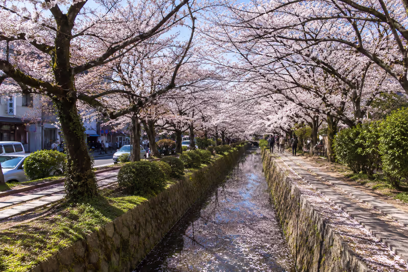 Kyoto Private Tour - 