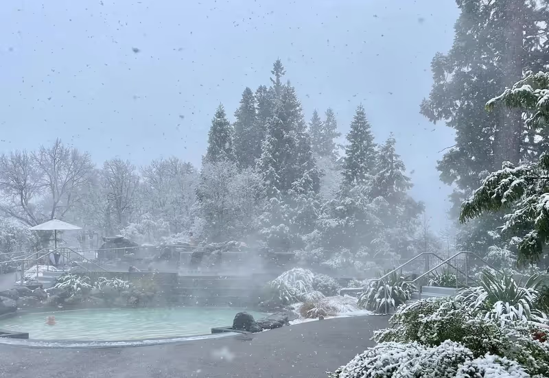Christchurch Private Tour - hot pool view in winter