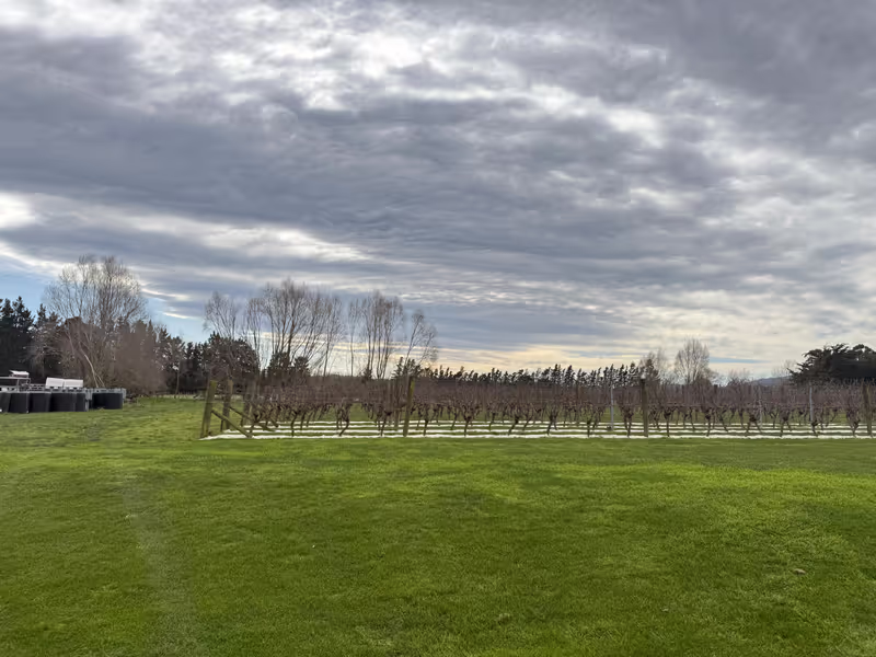 Christchurch Private Tour - waipara