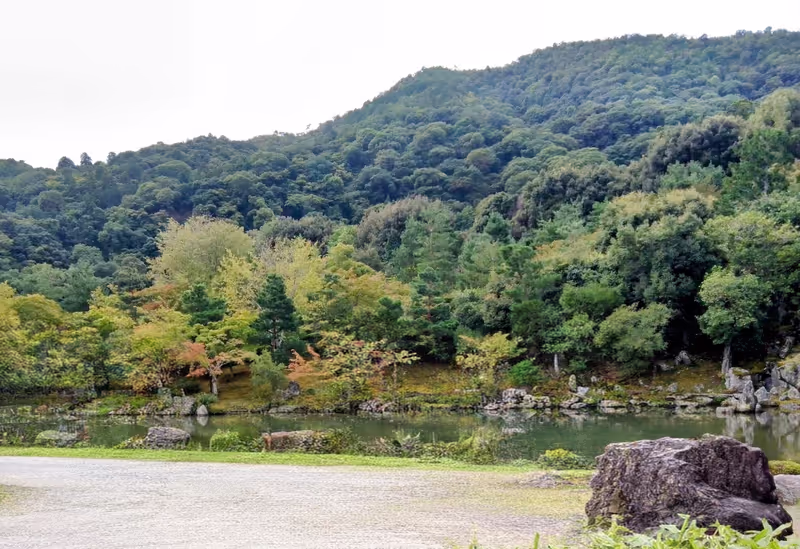 Kyoto Private Tour - Garden of Tenryuji Temple