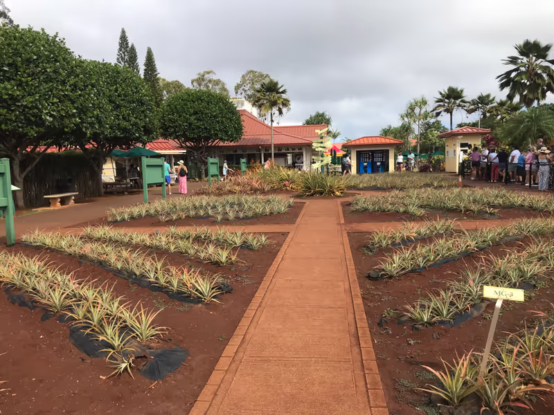 Honolulu Private Tour - Dole Plantation