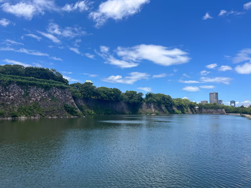 Osaka Private Tour - 
