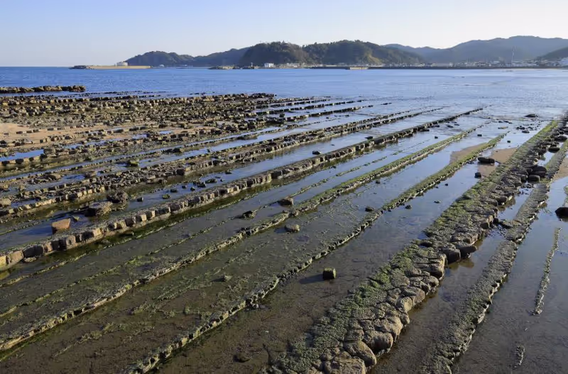 Miyazaki Private Tour - 