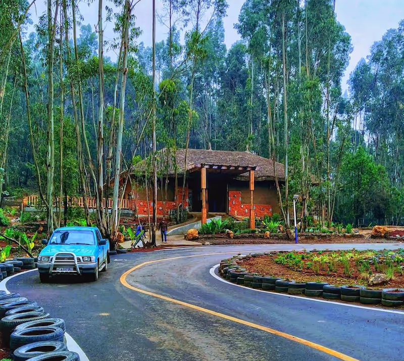 Addis Ababa Private Tour - 