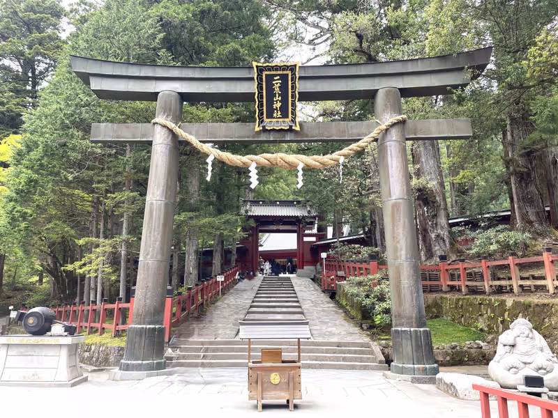 Tokyo Private Tour - Sanctuaire Futarasan
