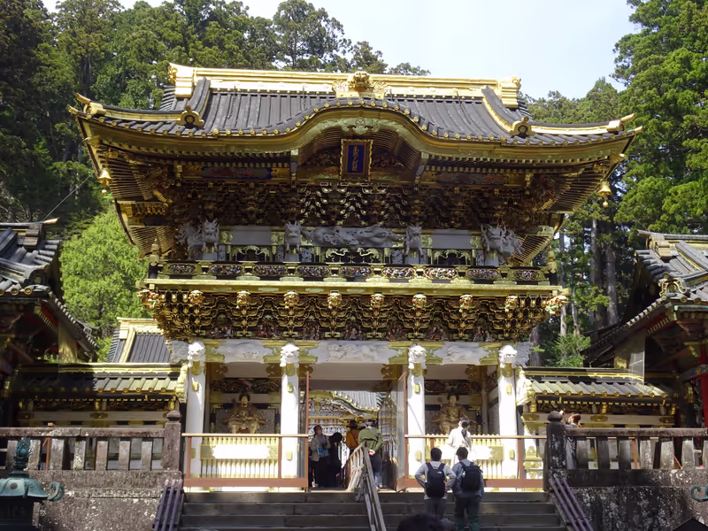 Tokyo Private Tour - Sanctuaire Toshogu