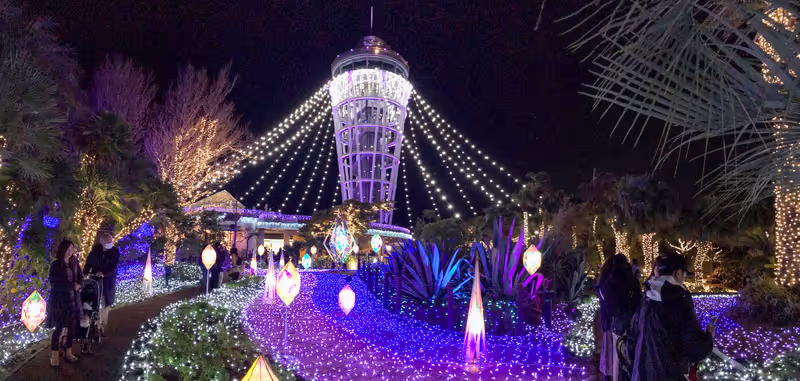 Kamakura Private Tour - Winter lighting up in Enoshima