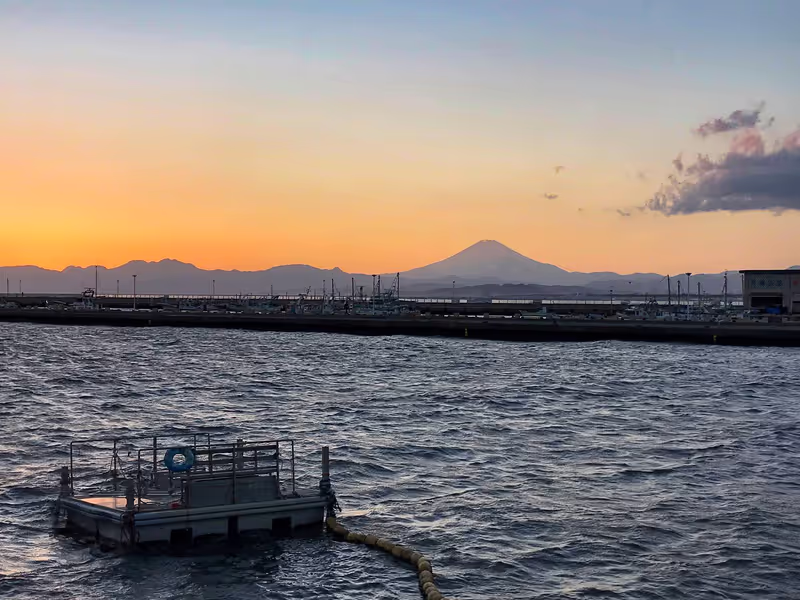Kamakura Private Tour - Mt.Fuji from Enoshima