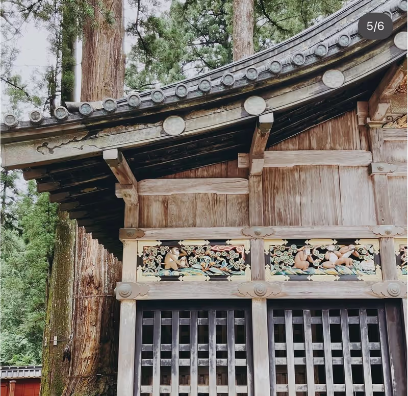 Nikko Private Tour - 