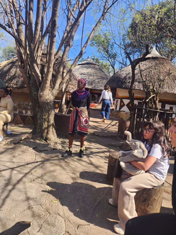 Johannesburg Private Tour - 