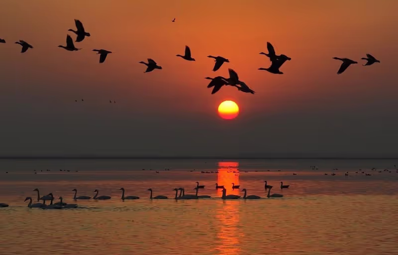 Wuhan Private Tour - Sunset view