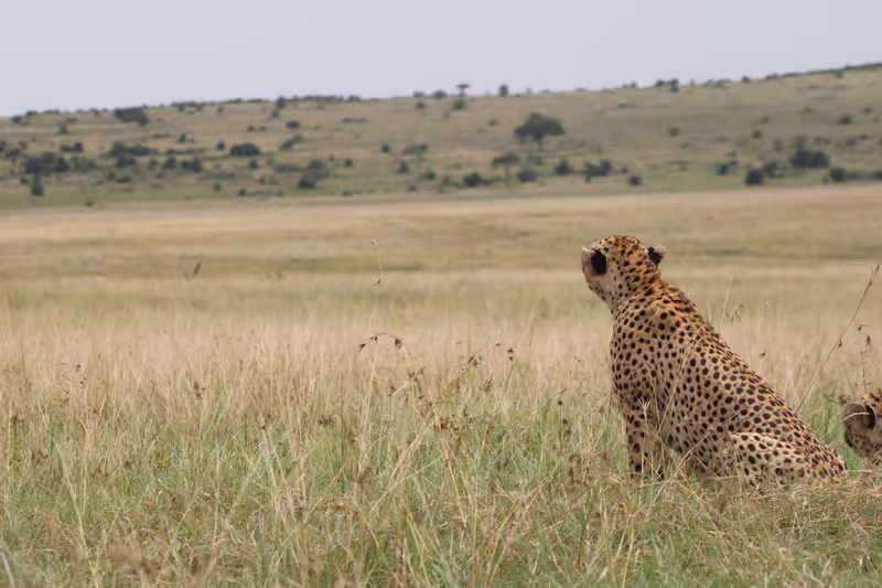 Arusha Private Tour - 