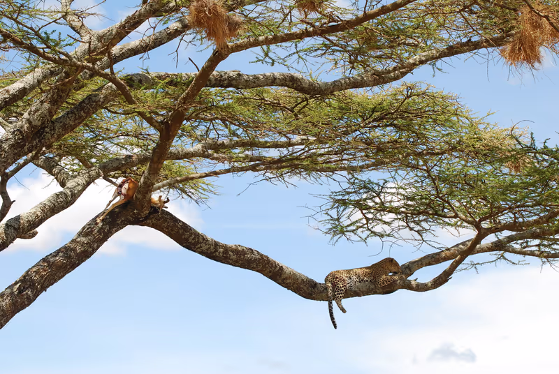 Arusha Private Tour - 