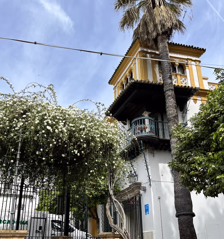 Seville Private Tour - 