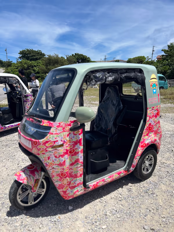 Okinawa Main Island Private Tour - 