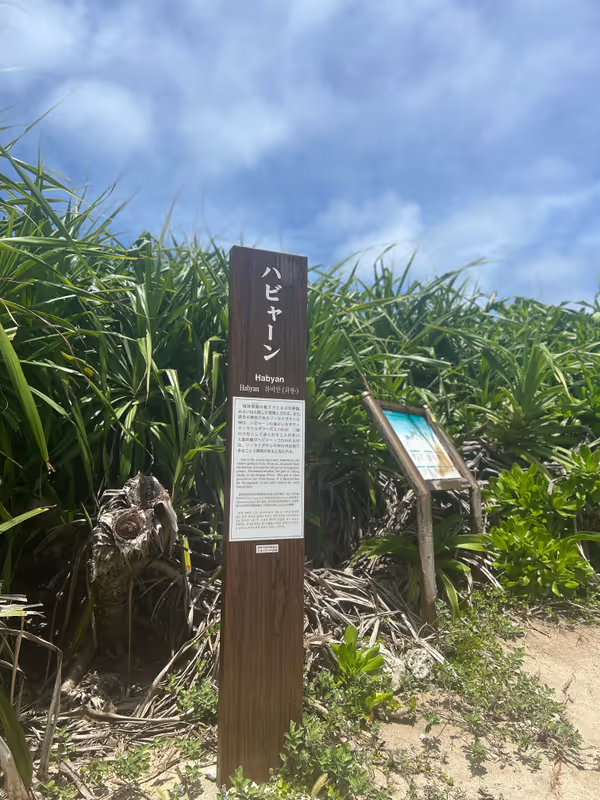 Okinawa Main Island Private Tour - 