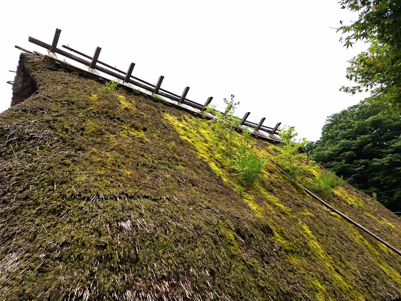 Yamanashi Private Tour - A Thatched Roof with Weeds
