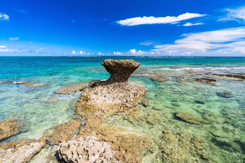 Okinawa Main Island Private Tour - 