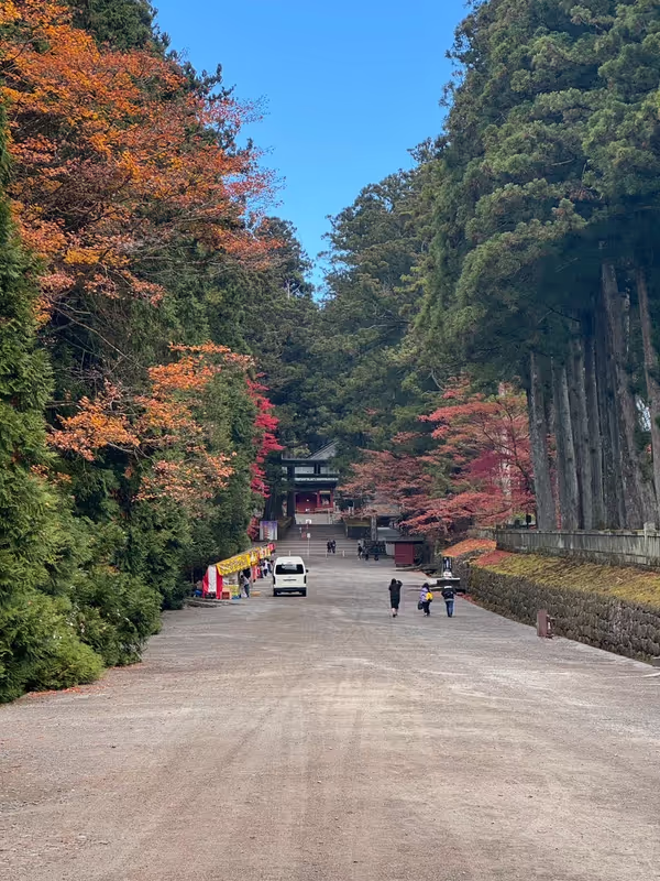 Nikko Private Tour - 