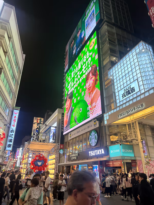 Osaka Private Tour - 