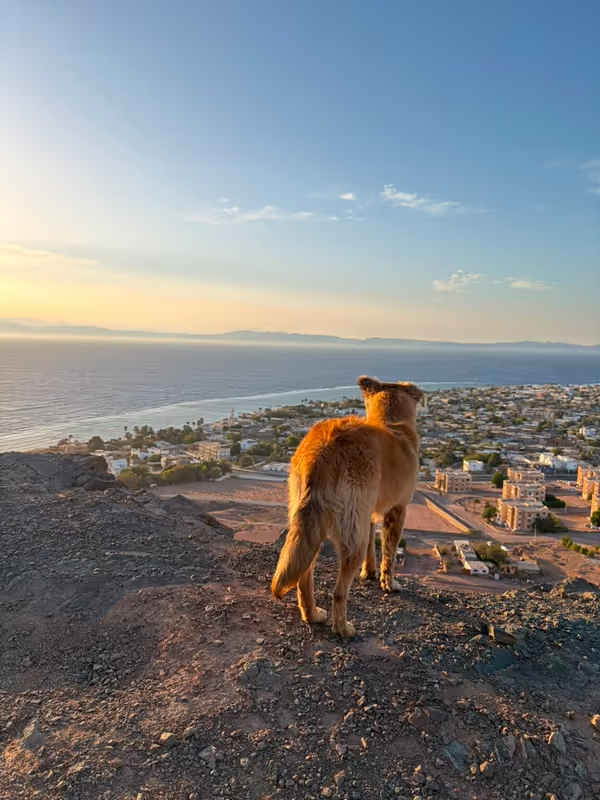 Dahab Private Tour - 