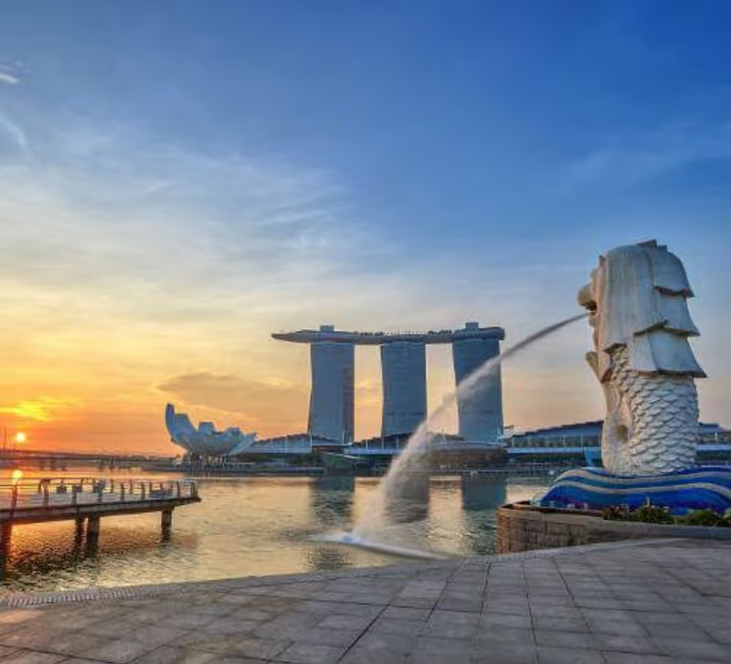 Singapore Private Tour - Merlion Park