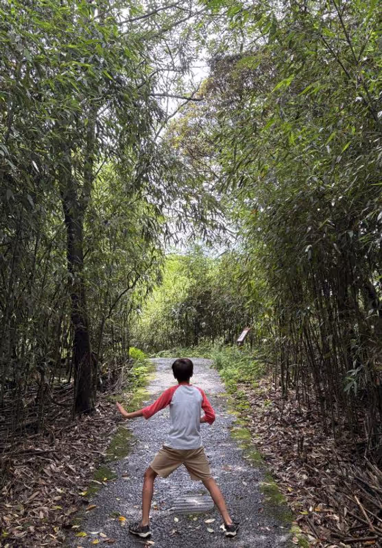 Chongqing Private Tour - nature with Taoism for a kid