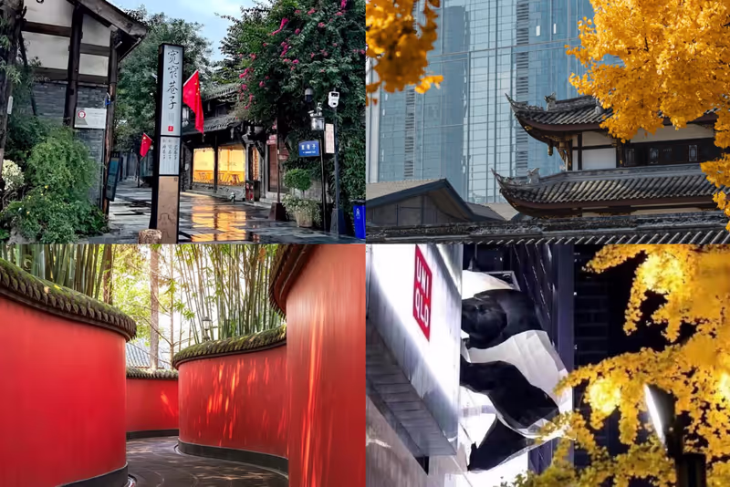 Chengdu Private Tour - Old meets new. Ancient Zen to modern streets.