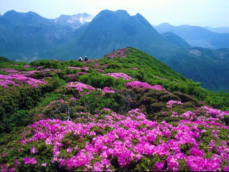 Chongqing Private Tour - in spring