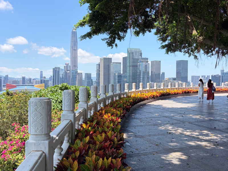 Shenzhen Private Tour - City Skyline