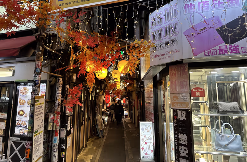 Tokyo Private Tour - On the narrow streets there are many small eateries and pubs. (#7)