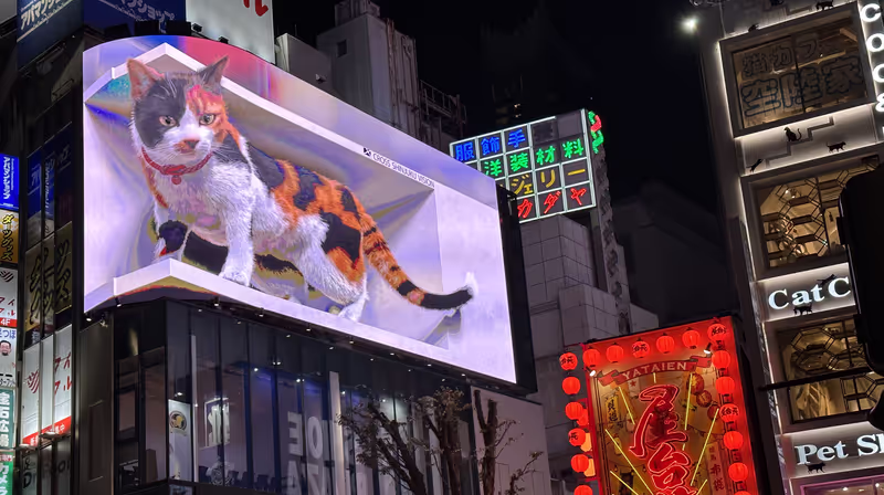Tokyo Private Tour - 3-D billboard shows a cat movie