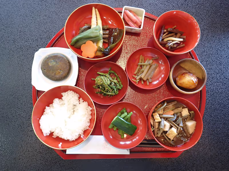 Toyama Private Tour - Local Vegetarian Dishes