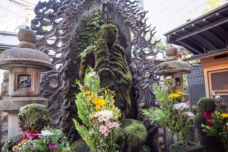 Osaka Private Tour - Hozen-Ji's moss-covered deity