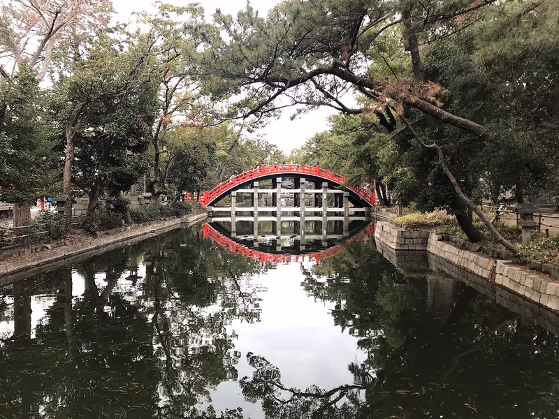 Osaka Private Tour - The gorgeoys taiko bridge at Sumiyoshi Taisha