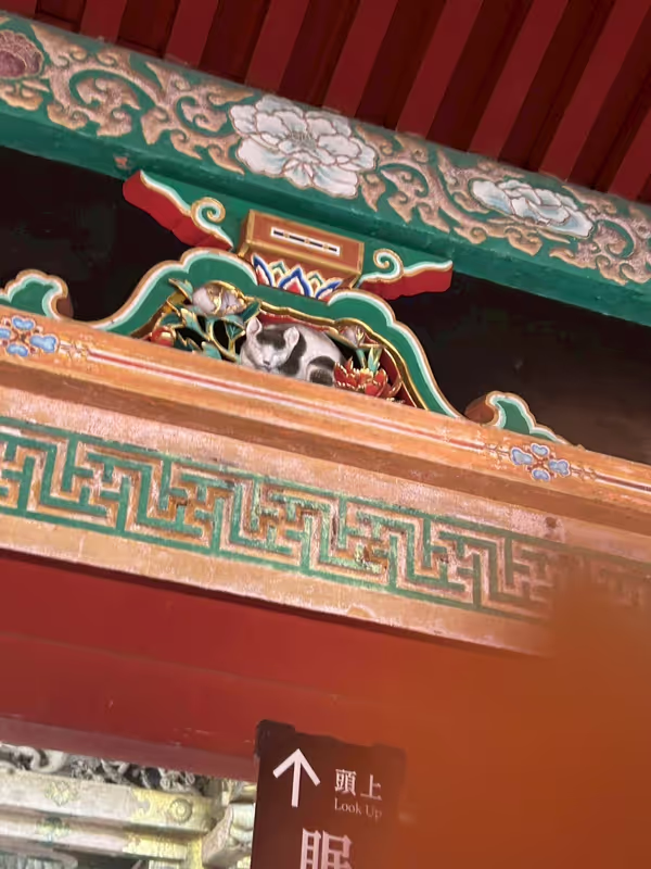 Nikko Private Tour - 