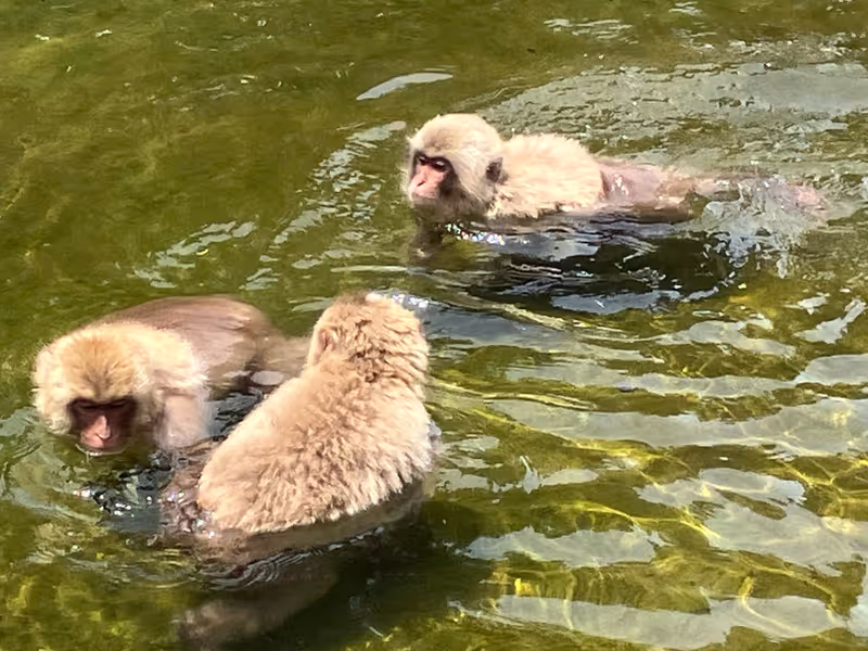 Nagano Private Tour - Bathing in Hot Spring (May)