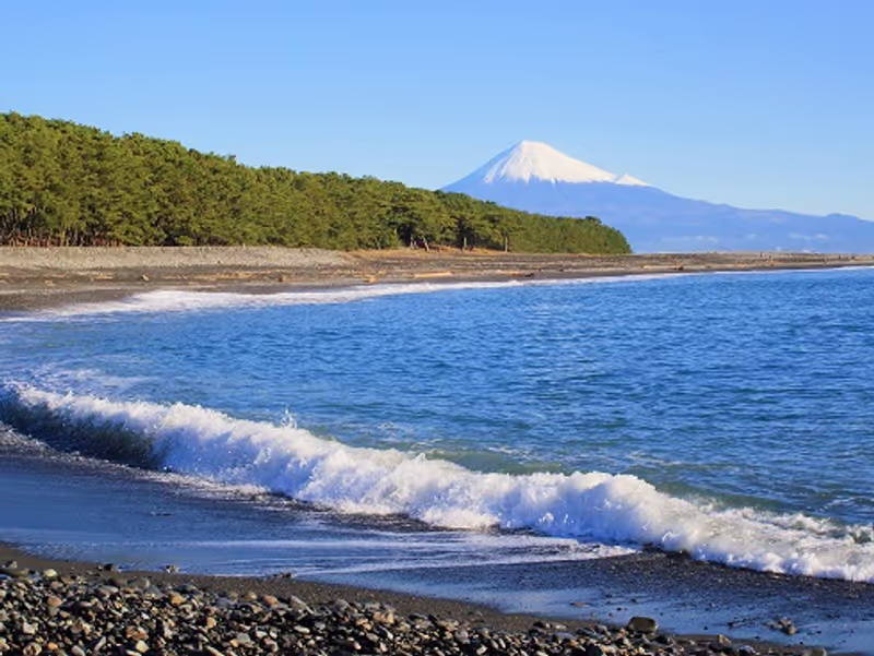 Shimizu Private Tour - Miho no Matsubara
